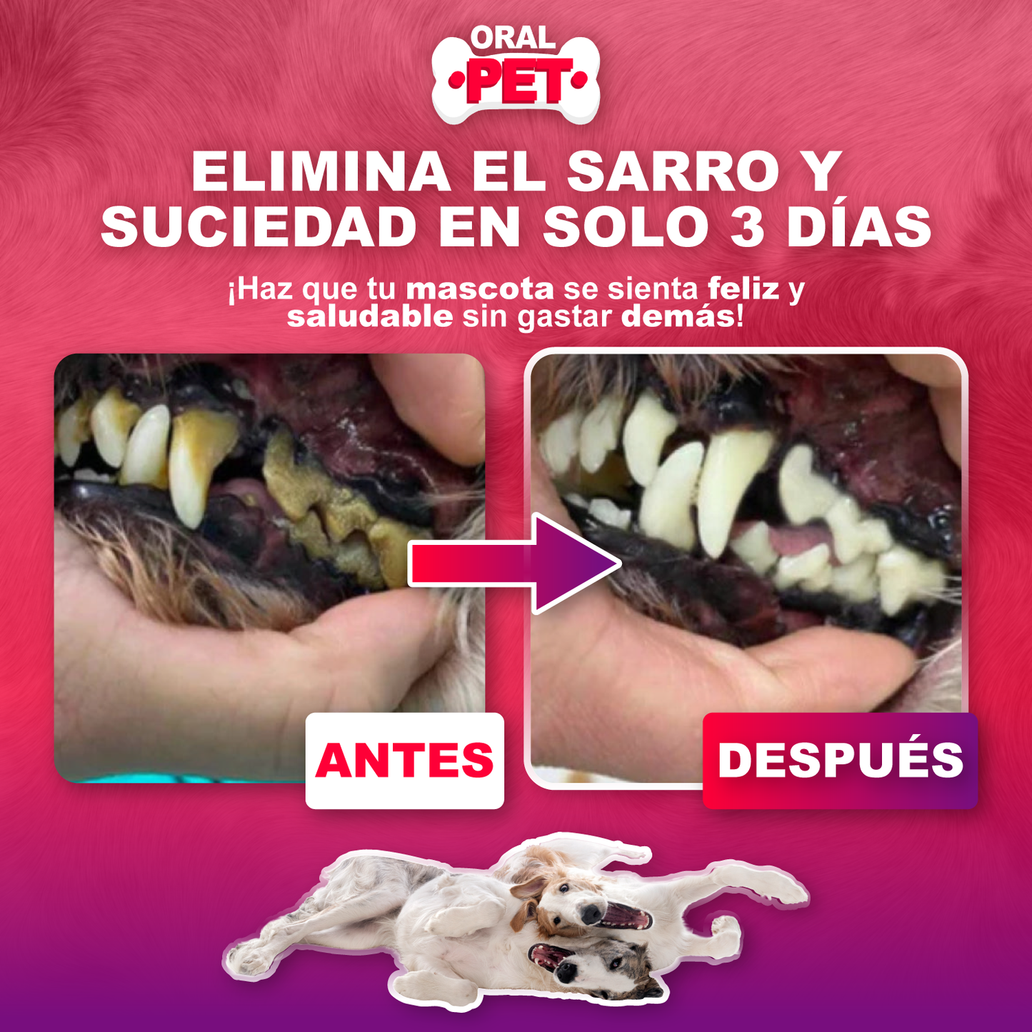 OralPet™: cuidado bucal fácil para perros Y gatos sin cepillado