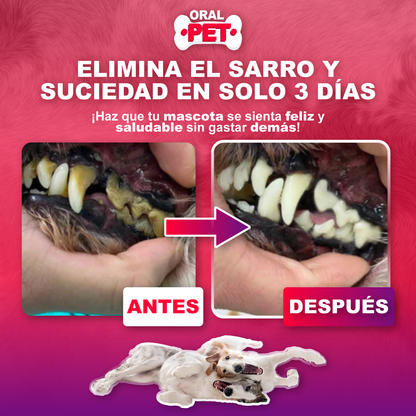 OralPet™: cuidado bucal fácil para perros Y gatos sin cepillado